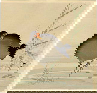 Ohara Koson: Moorhen in Reed Marsh 1930s Woodblock NR: Japanese Woodblock print, 1930s published by Kawaguchi & Sakai; signed and sealed Koson SIZE IN INCHES: shikishi, 10.8 x 10 inches PROVENANCE: From the Robert O. Muller estate OHARA KOSON (1877-1945),