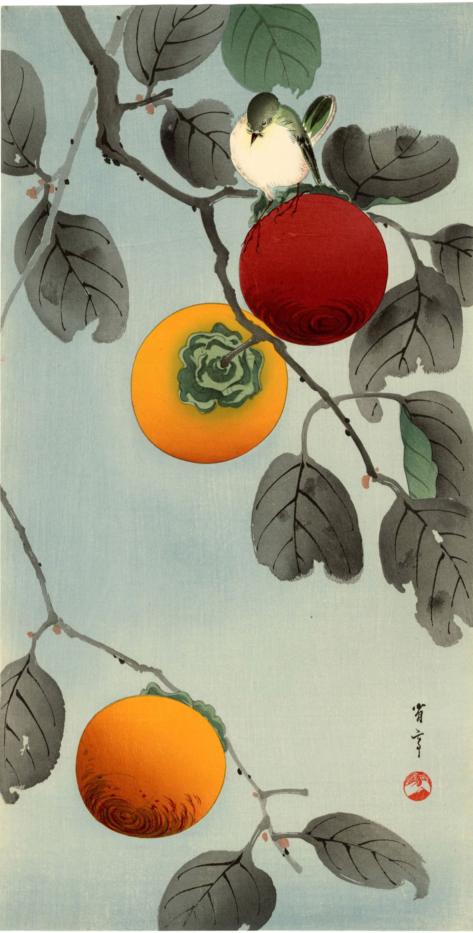 Seitei Watanabe: Nuthatch and Persimmon 1930s Woodblock (1 of 2)