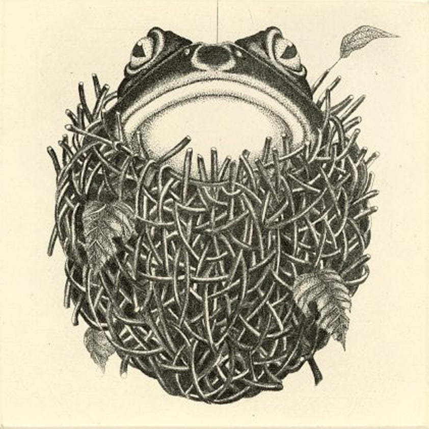 Hikari Hirose: Frog in a Nest of Twigs c.2000 1st Ed Copperplate NR (1 of 3)