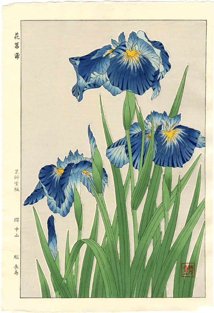 Kawarazaki Shodo: Blue Iris 1954 Woodblock (1 of 2)