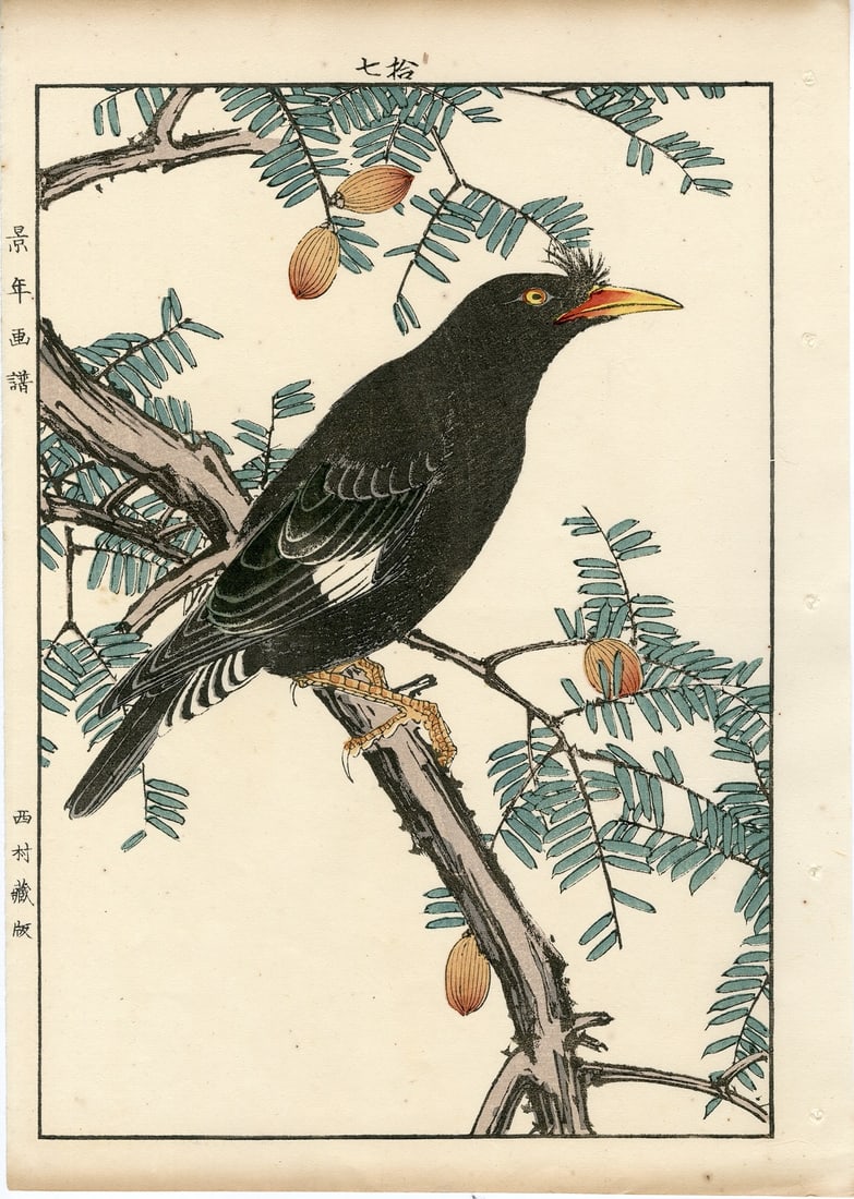 Keinen Imao - Kaya & Crested Myna Bird 1891 1st Ed Woodblock NR (1 of 2)