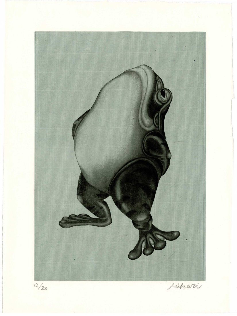 Hikari Hirose: Frog 2000 1st Ed Copperplate NR (1 of 2)