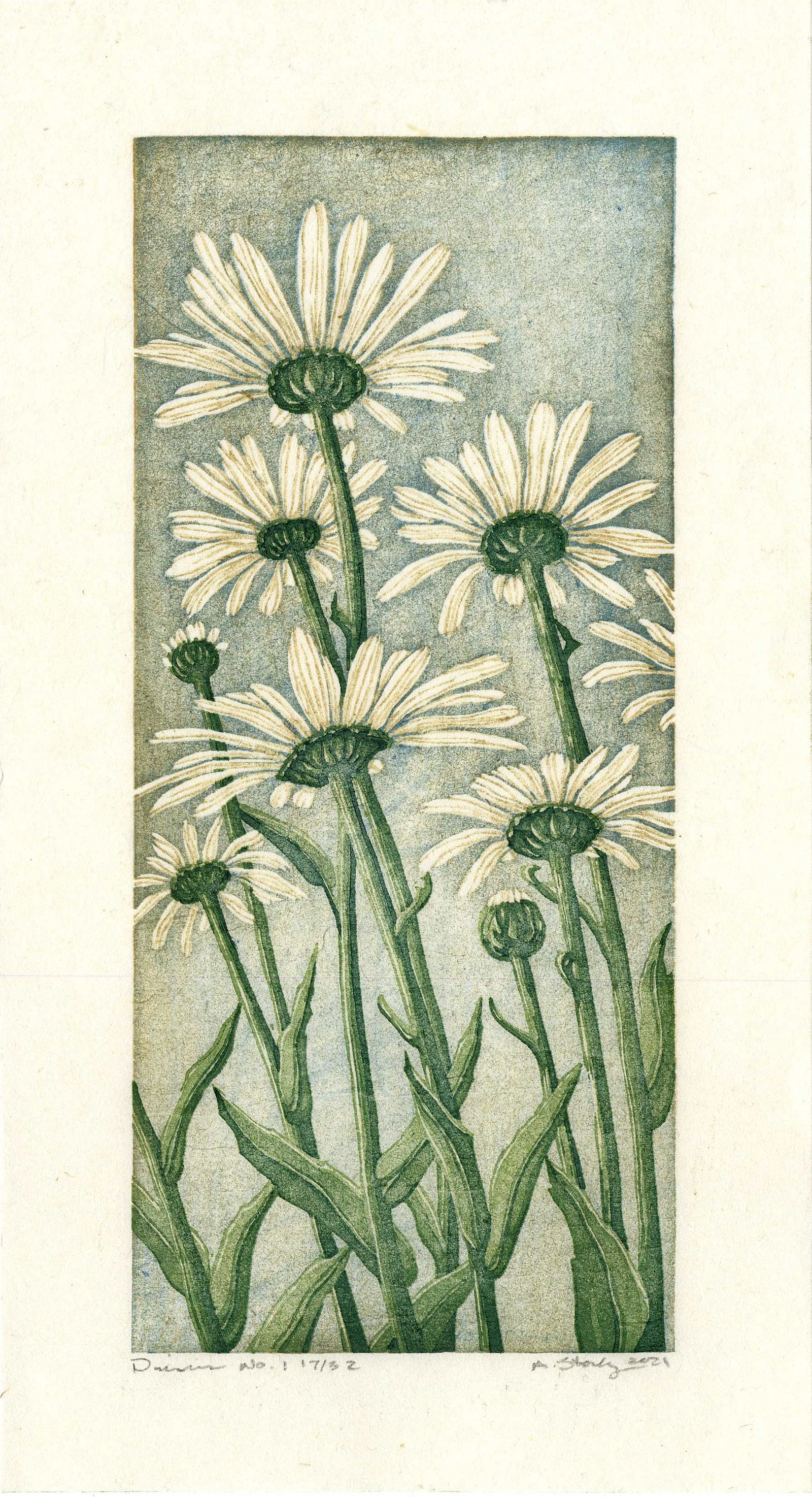 A. Starkey: Daisy No.1 2021 Woodblock: Reduction Woodblock Print, 2023, 1st Edition, self-published by A. Starkey, pencil signed, dated, titled and numbered 17/32 SIZE IN INCHES: 6 x 11 inches WHAT IS A REDUCTION WOODBLOCK PRINT? Reduction