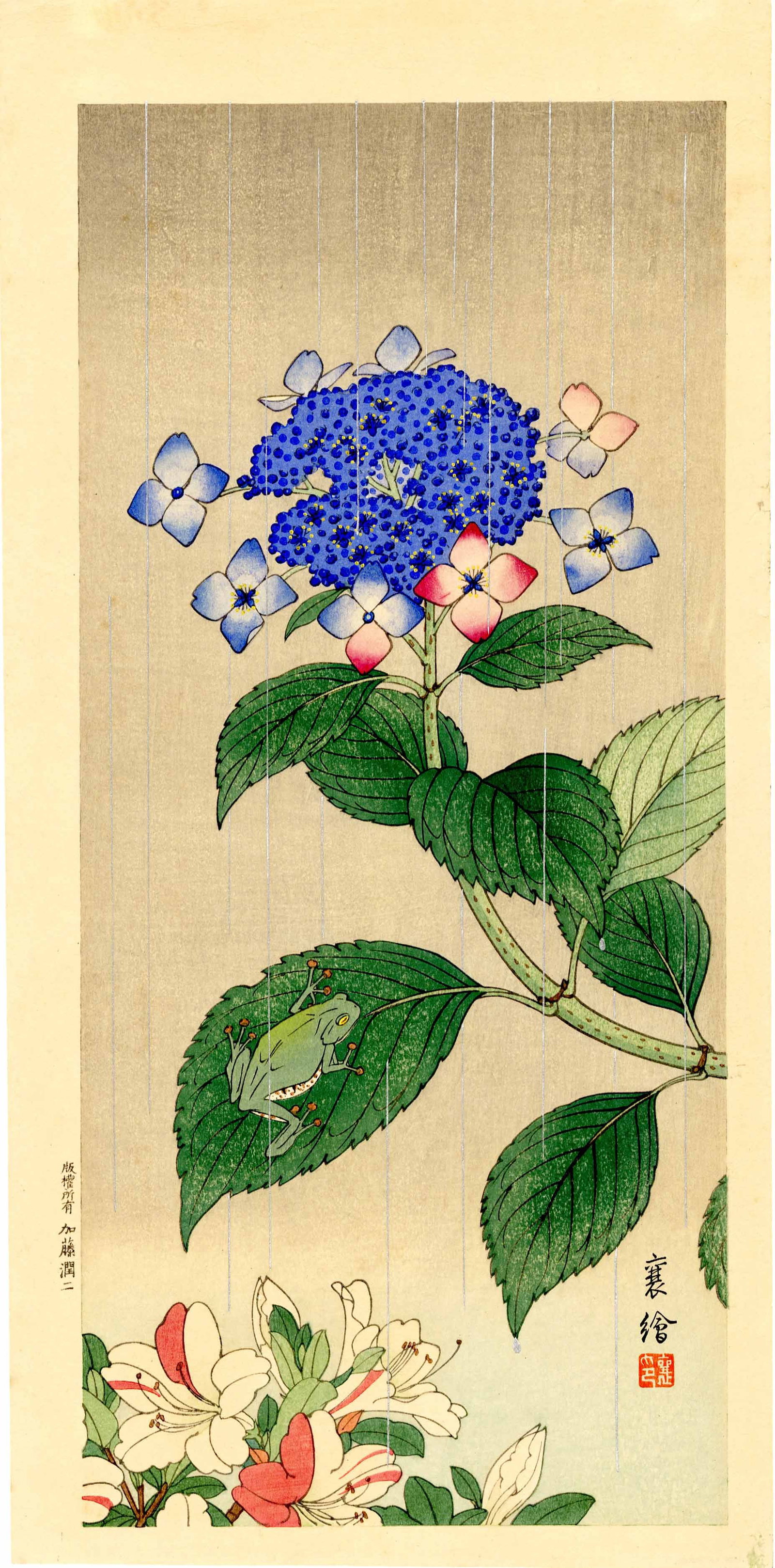Hashimoto Yuzuru (Jo): Tree Frog 1930s Woodblock NR (1 of 2)