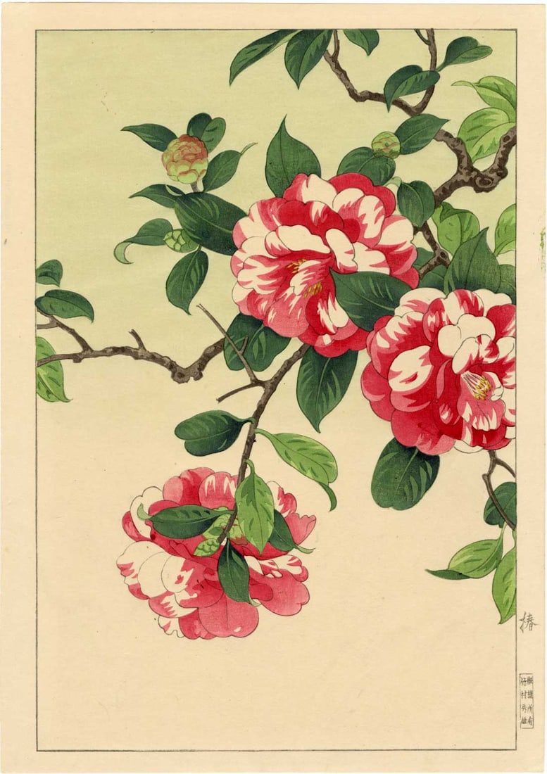 Hodo Nishimura: Camellia 1939 NR: Japanese Woodblock Print, 1939, published by Takemura Hideo (Yokahama 1926-1939) SIZE IN INCHES: 10.75 x 15.5 inches PROVENANCE: From the estate of Robert O. Muller HODO NISHIMURA was a Japanese artis