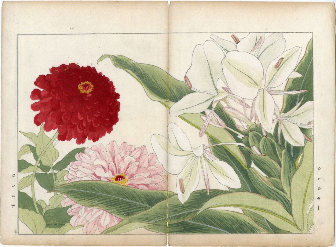 Tanigami Konan - Ginger and Zinnia 1925 Woodblock (1 of 2)