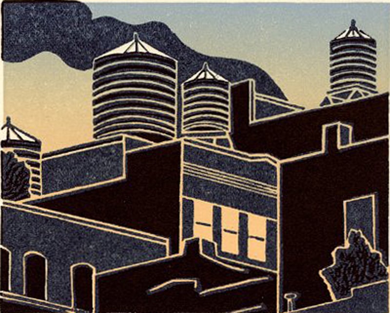 Emily Trueblood: New York City Rooftops at Dusk 1996 1st Ed NR (1 of 3)