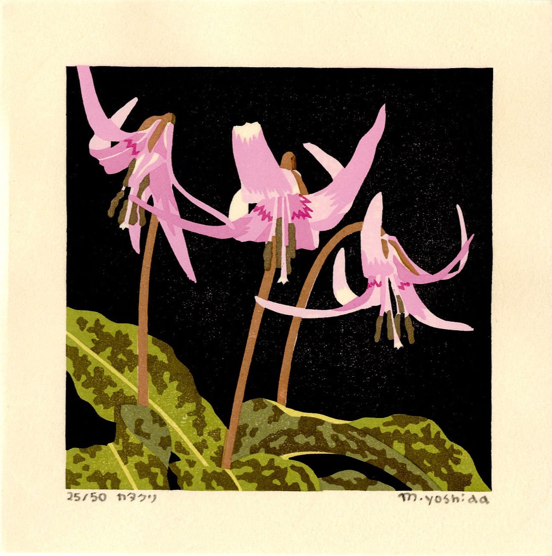 Masaki Yoshida: Botanical 2006 1st Ed. Woodblock NR: Japanese Woodblock Print, 2006, self published by Masaki Yoshida, signed and numbered 25/50 in the lower margin SIZE IN INCHES: 6.5 x 6.5 inches