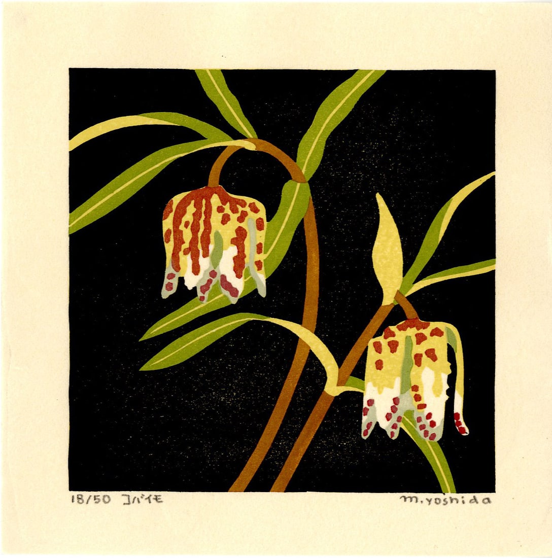 Masaki Yoshida: Botanical 2006 1st Ed. Woodblock NR: Japanese Woodblock Print, 2006, self published by Masaki Yoshida, signed and numbered 18/50 in the lower margin SIZE IN INCHES: 6.5 x 6.5 inches