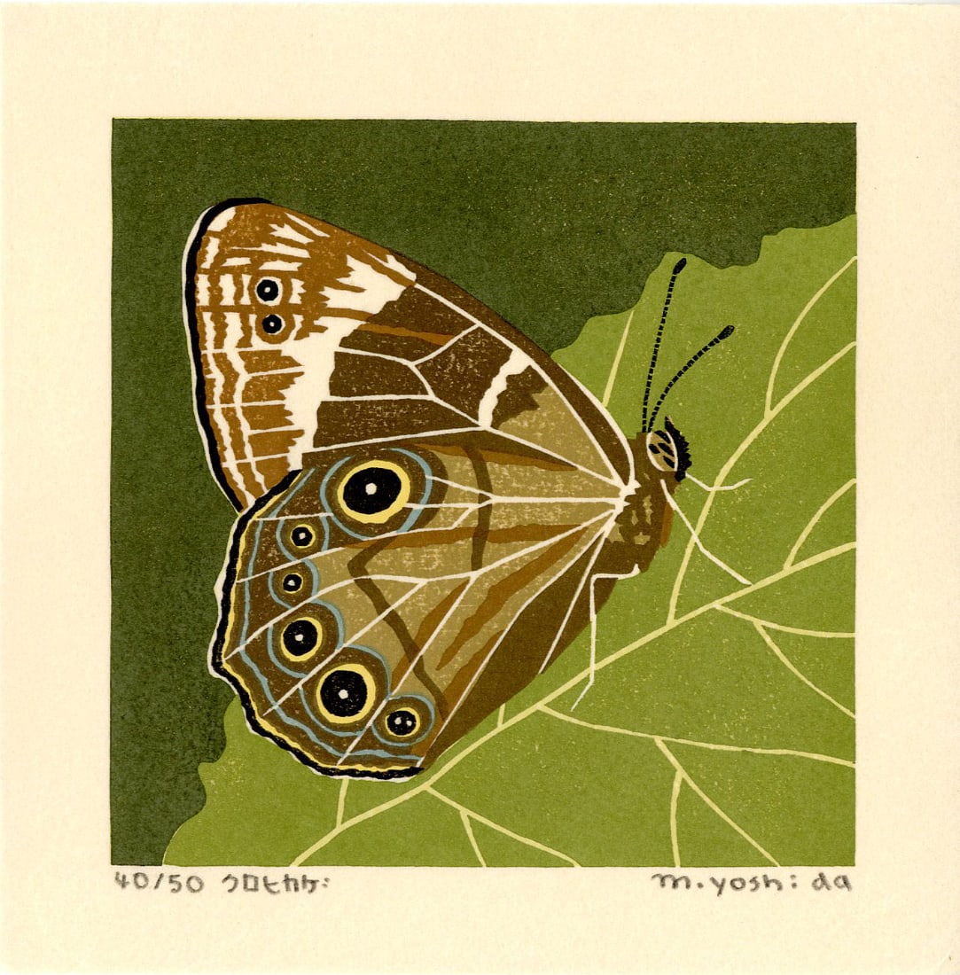 Masaki Yoshida: Buckeye Butterfly 2006 1st Ed. Woodblock NR: Japanese Woodblock Print, 2006, self published by Masaki Yoshida, signed and numbered 40/50 in the lower margin SIZE IN INCHES: 6.5 x 6.5 inches