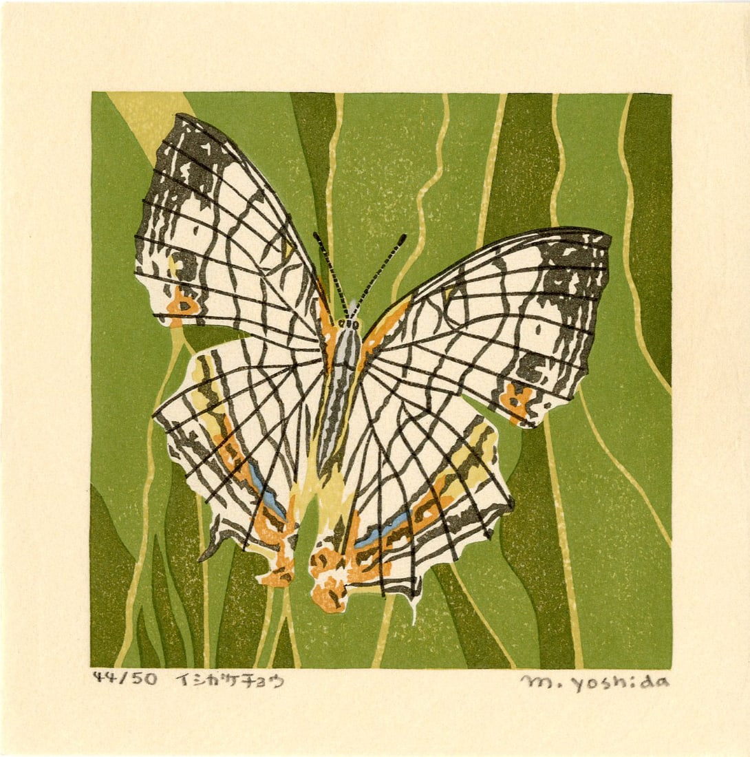 Masaki Yoshida: Chiricahua White Butterfly 2006 1st Ed. Woodblock NR: Japanese Woodblock Print, 2006, self published by Masaki Yoshida, signed and numbered 44/50 in the lower margin SIZE IN INCHES: 6.5 x 6.5 inches