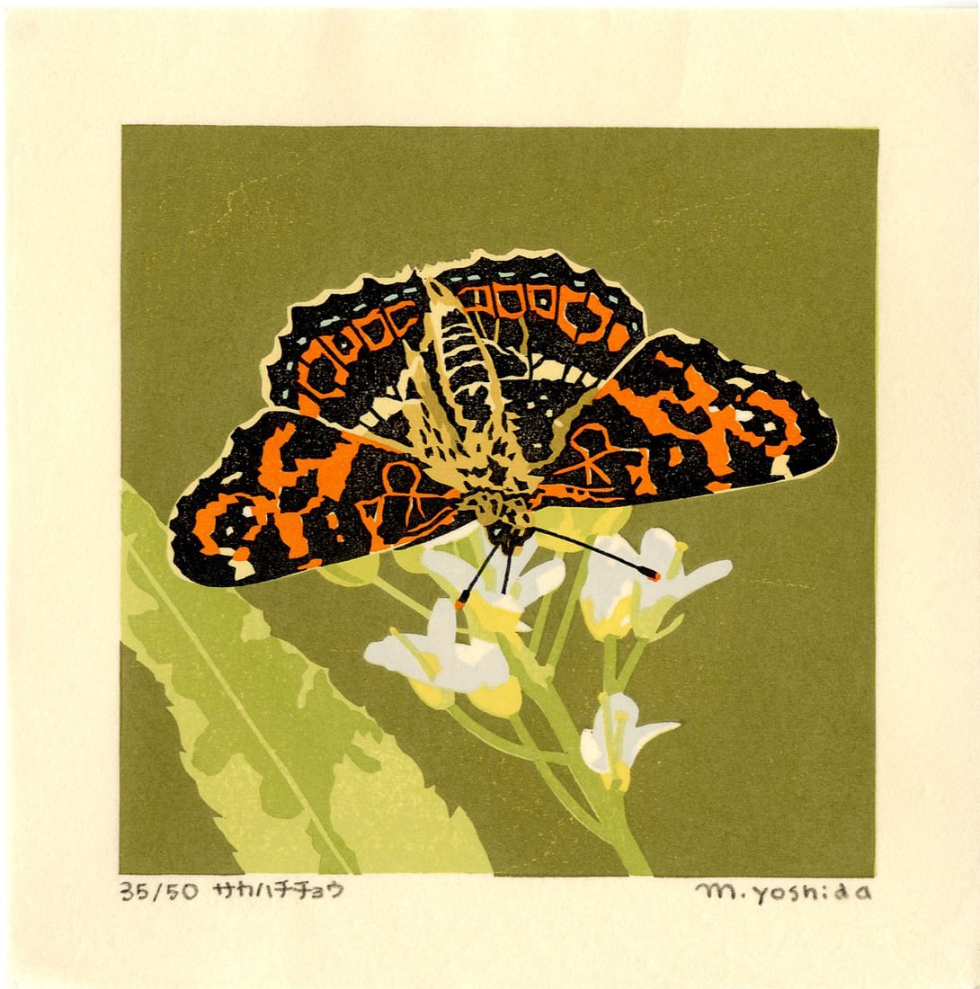 Masaki Yoshida: Painted Lady Butterfly 2006 1st Ed. Woodblock NR: Japanese Woodblock Print, 2006, self published by Masaki Yoshida, signed and numbered 35/50 in the lower margin SIZE IN INCHES: 6.5 x 6.5 inches