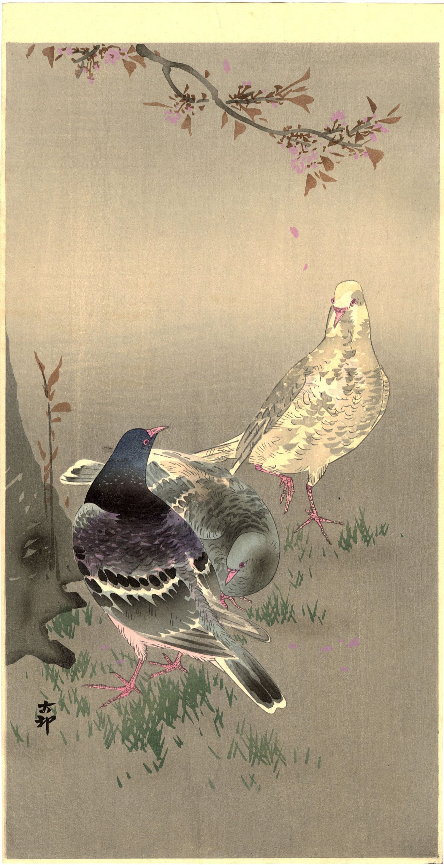 Koson Ohara: Pigeons and Blossoms 1920s MULLER Estate NR (1 of 2)