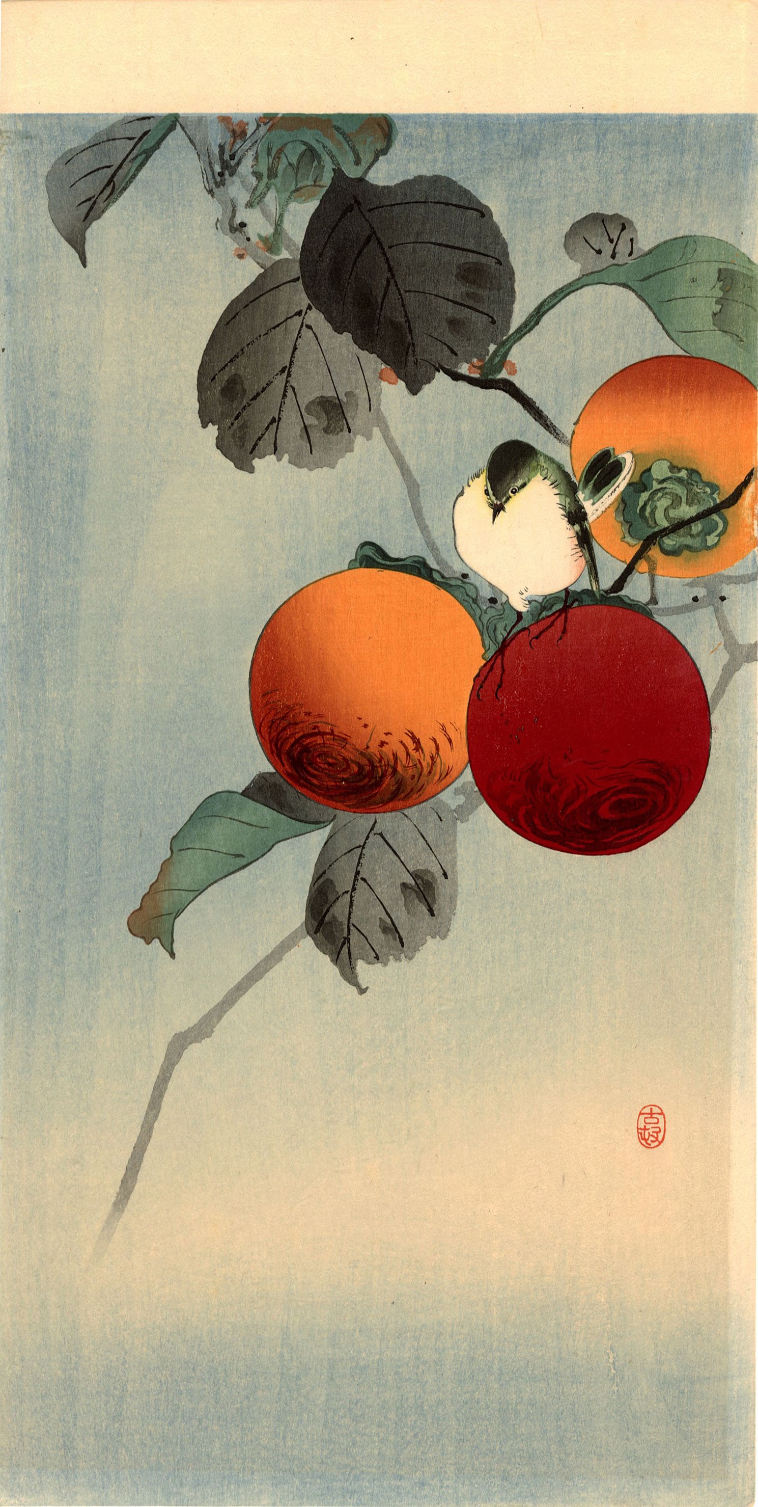 Koson Ohara: Nuthatcher and Persimmon 1920s MULLER Estate NR: Japanese Woodblock Print, 1920s, published by Daikokuya SIZE IN INCHES: ohosoban, 7.25 x 15 inches PROVENANCE: From the Robert O. Muller estate OHARA KOSON (1877-1945), who also went by the art names