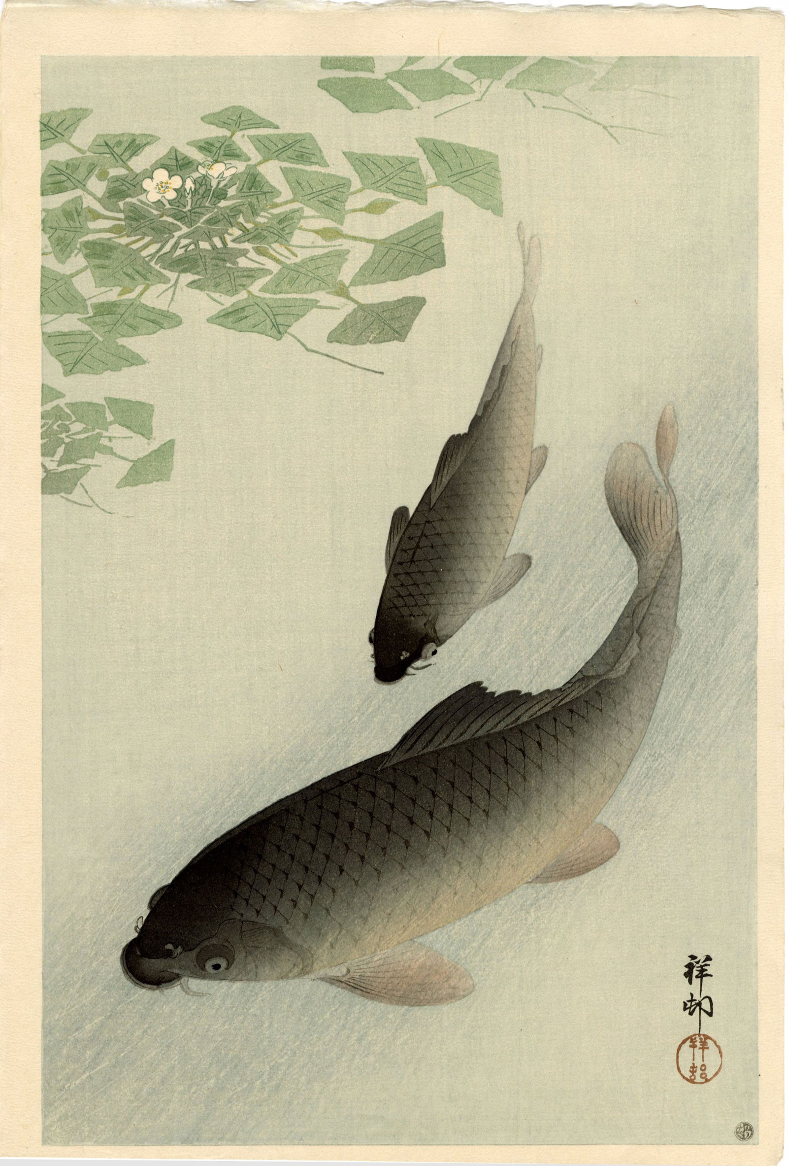 Koson Ohara: Carp Near Water Grass 1926 MULLER Estate NR (1 of 2)