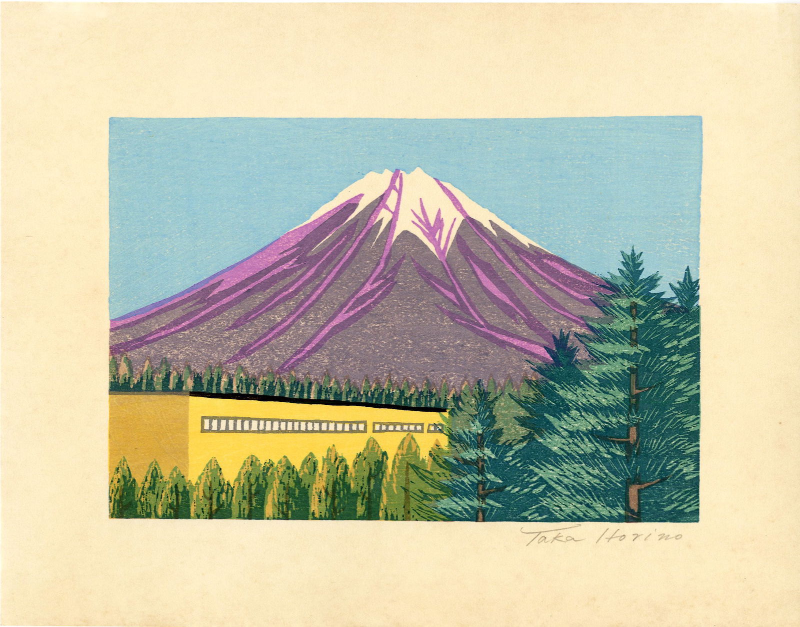 Horino Taka: Mt Fuji Woodlbock NR (1 of 2)