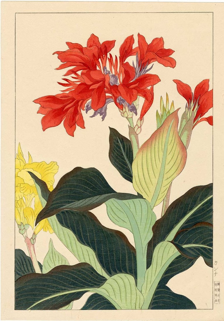 Hodo Nishimura: Canna 1939 Woodblock NR: Japanese Woodblock Print, 1939, published by Takemura Hideo (Yokahama 1926-1939) SIZE IN INCHES: 10.75 x 15.5 inches PROVENANCE: From the estate of Robert O. Muller HODO NISHIMURA was a Japanese artis