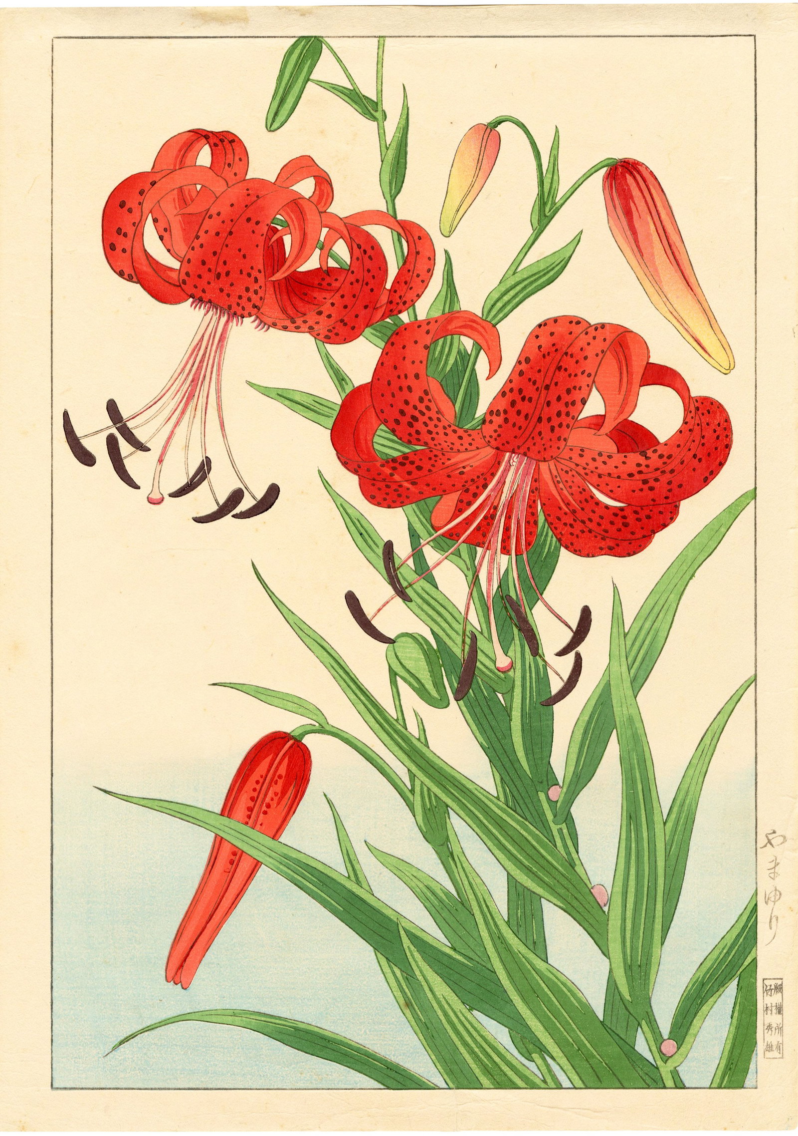 Hodo Nishimura: Tiger Lily 1938 Woodblock NR (1 of 2)