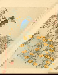 Keibun Matsumura: Kingfisher 1894 Woodblock: Japanese Woodblock print, 1894, published by Aoki Suzando, from the series Keibun's Birds and Flowers SIZE IN INCHES: chuban, 8 x 10.5 inches MATSUMURA KEIBUN (1779-1843) was a leading figure in the S