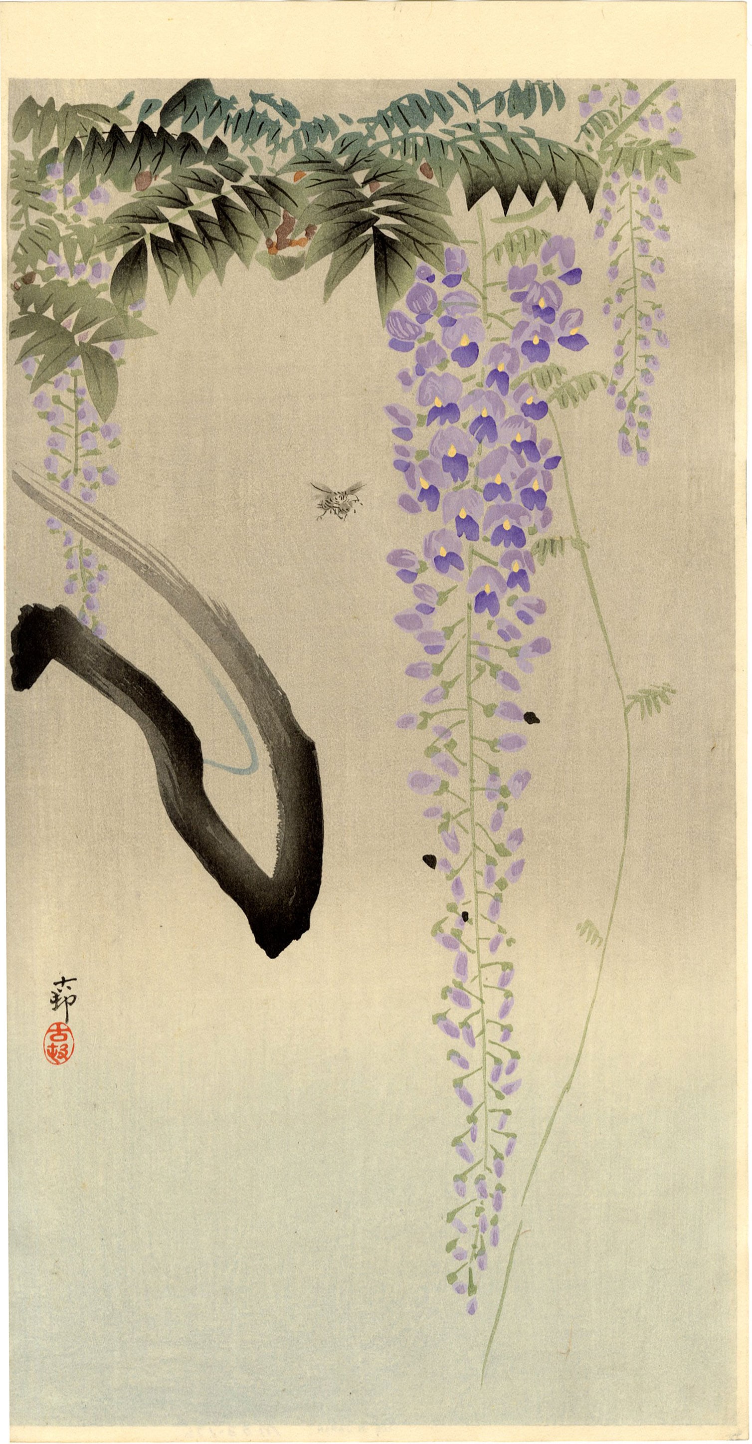 Koson Ohara: Wisteria and Bee 1920s MULLER Estate NR: Japanese Woodblock Print, 1920s, published by Daikokuya SIZE IN INCHES: ohosoban, 7.5 x 14.5 inches PROVENANCE: From the Robert O. Muller estate OHARA KOSON (1877-1945), who also went by the art names