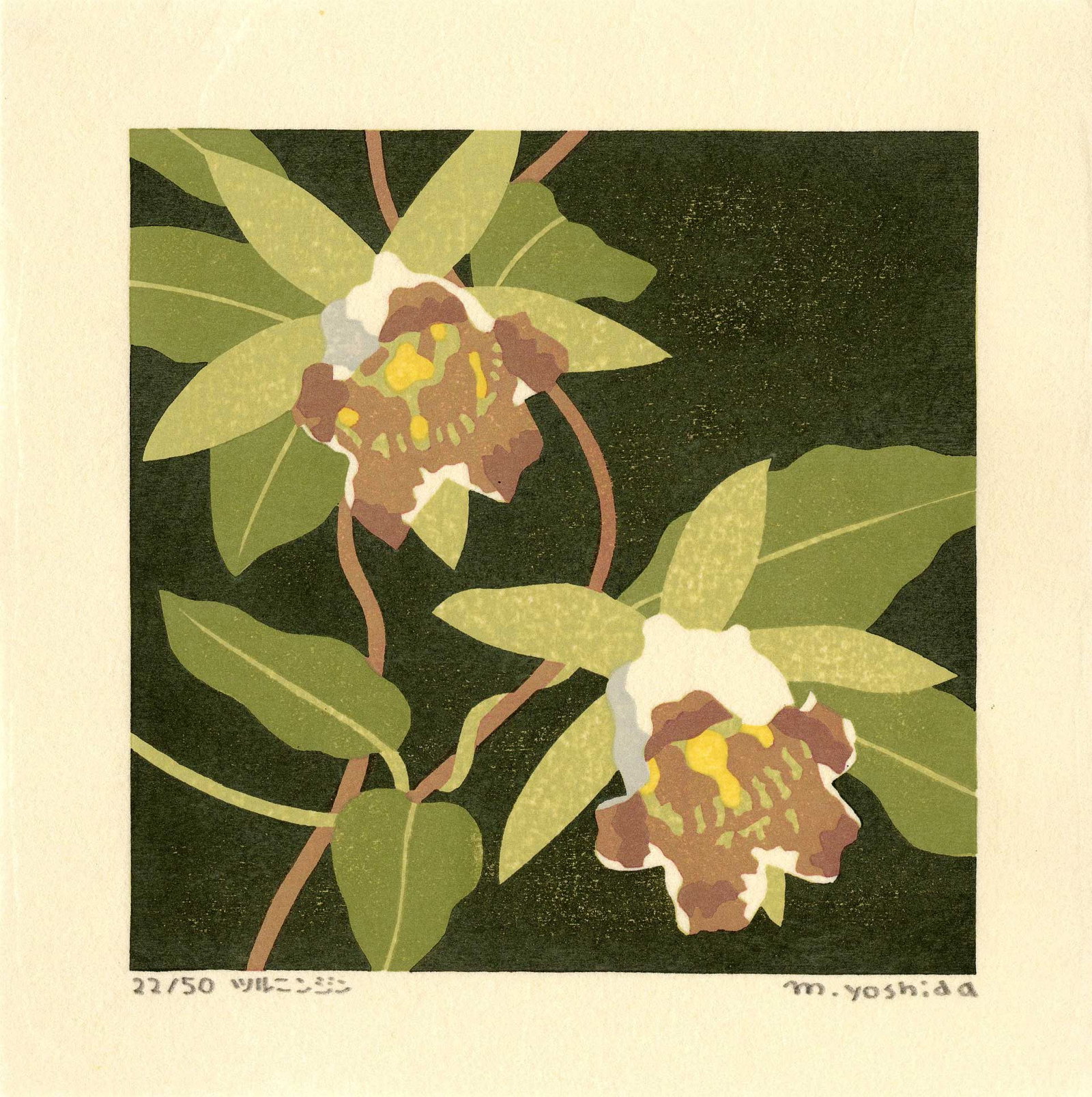 Masaki Yoshida: Botanical 2006 1st Ed. Woodblock NR: Japanese Woodblock Print, 2006, self published by Masaki Yoshida, signed and numbered 22/50 in the lower margin SIZE IN INCHES: 6.5 x 6.5 inches
