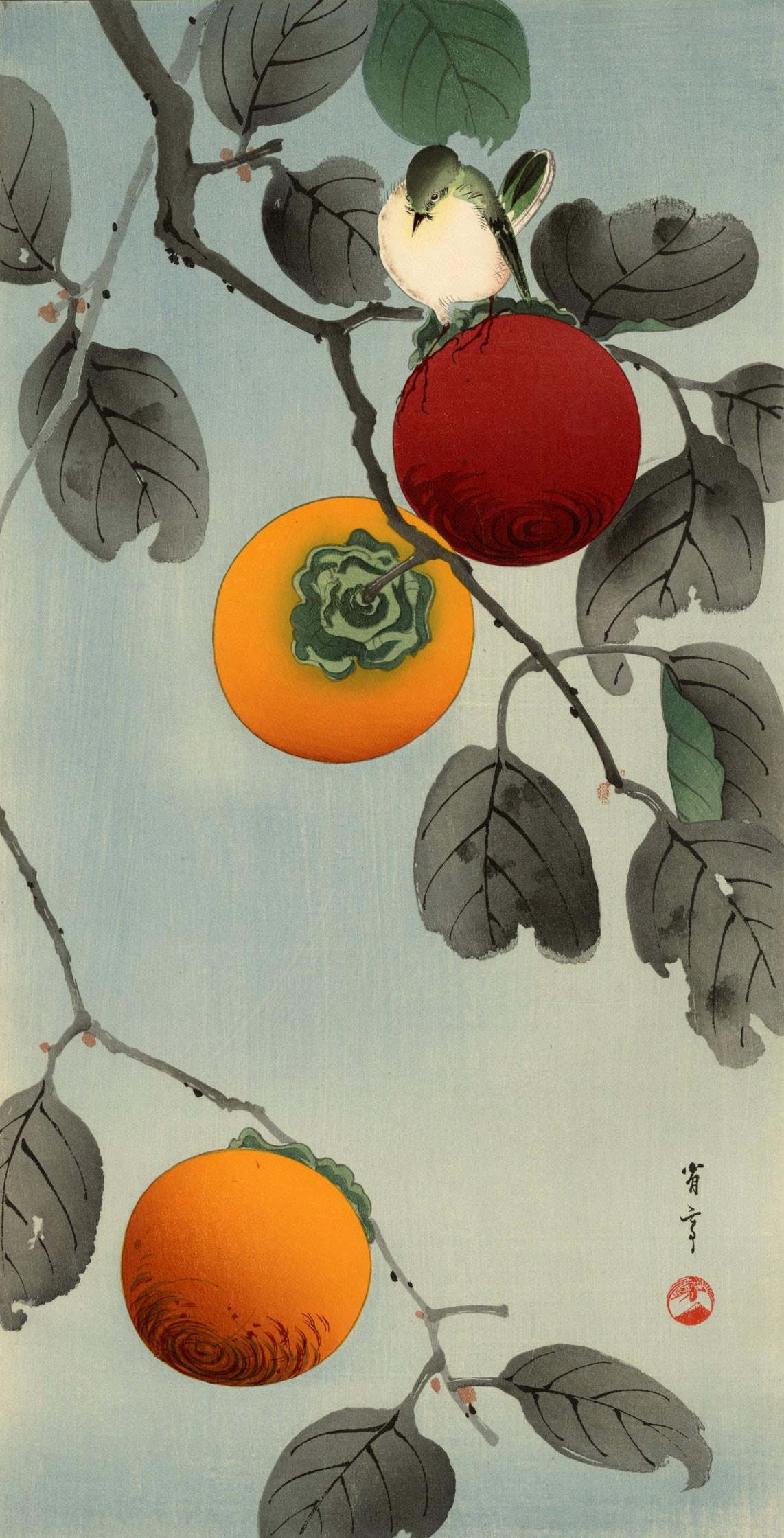 Seitei Watanabe: Nuthatch and Persimmon 1930s Woodblock NR (1 of 2)