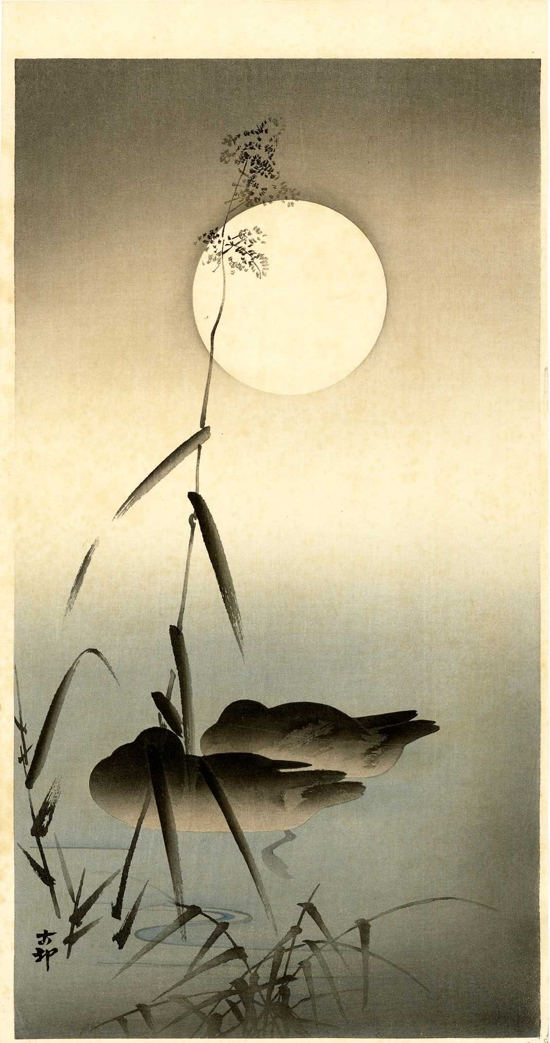 Ohara Koson: Sleeping Ducks Under Full Moon 1920s Woodblock NR: Japanese Woodblock Print, 1920s, published by Daikokuya SIZE IN INCHES: ohosoban, 7.5 x 14.5 inches COMMENTS: Rarely seen. PROVENANCE: From the Robert O. Muller estate OHARA KOSON (1877-1945), who als