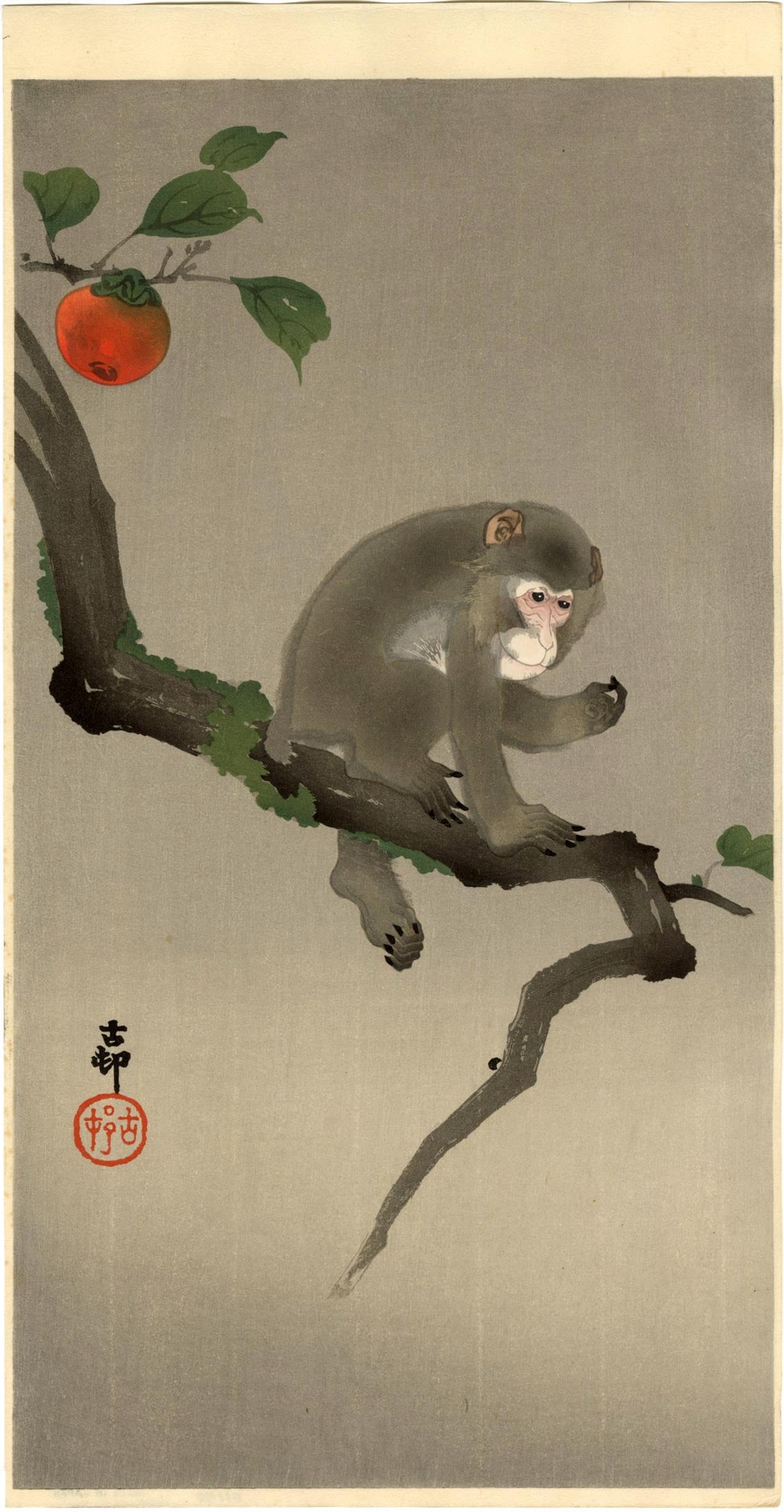 Koson Ohara: Monkey in Persimmon Tree 1920s Woodblock NR (1 of 2)