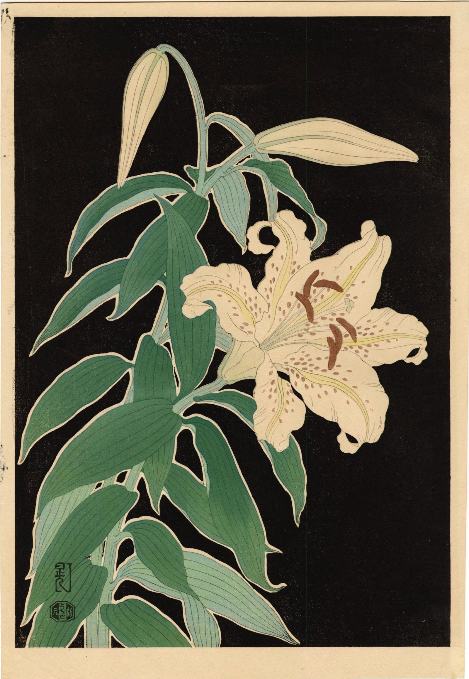 Not Read: Lily 1950s Woodblock NR (1 of 2)