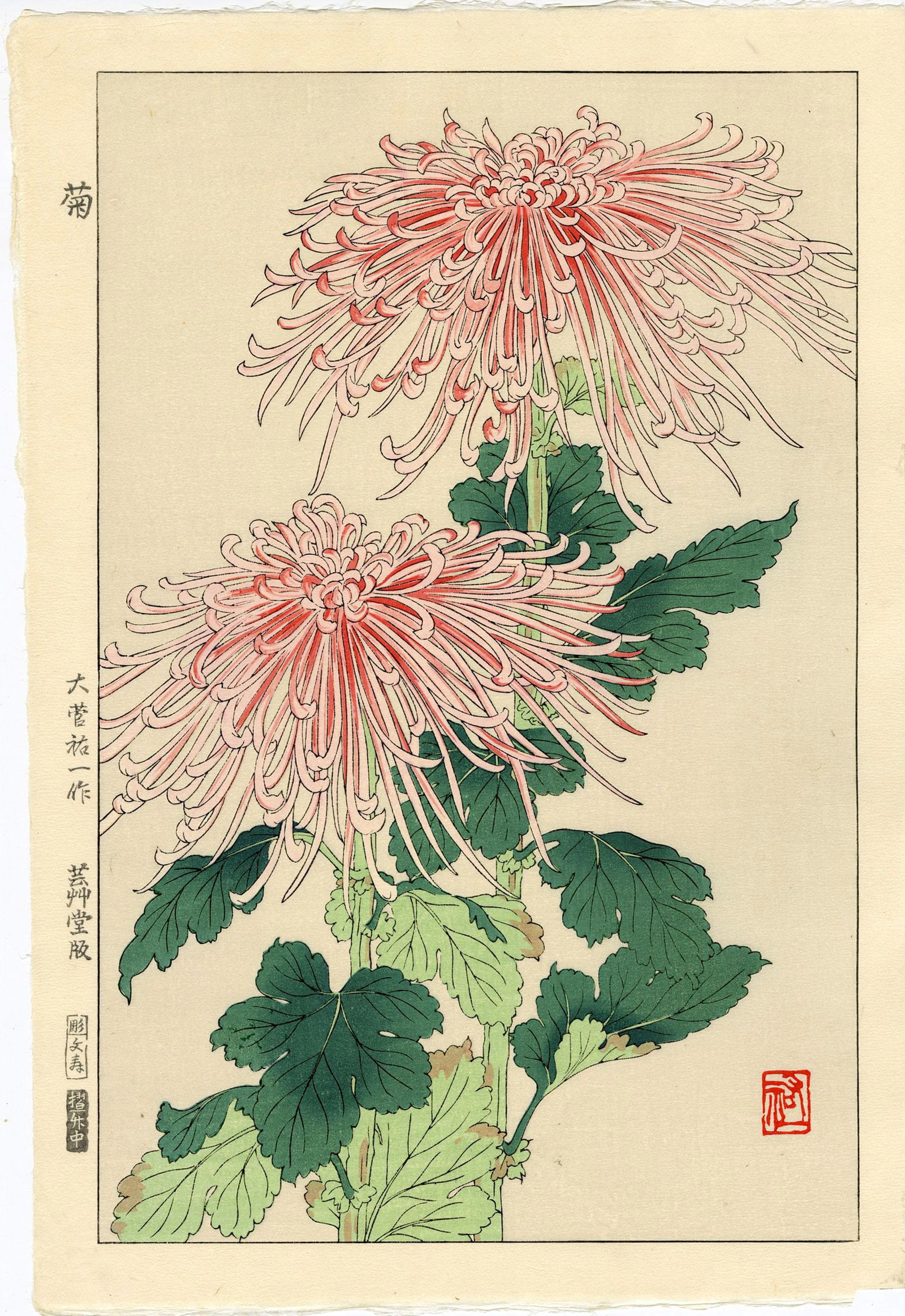 Osuga Yuichi: Chrysanthemum 1954 Woodblock (1 of 2)