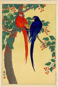 Koson Ohara - A Pair of Macaws 1932 C-seal Woodblock RARE NR