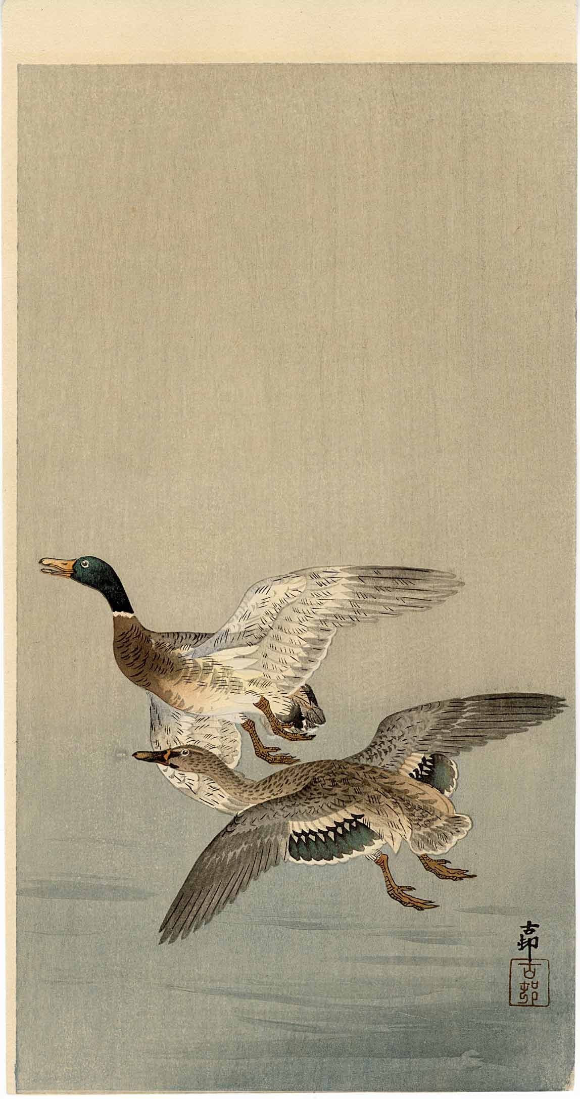 Koson Ohara - Mallards in Flight c1920s MULLER NR (1 of 2)