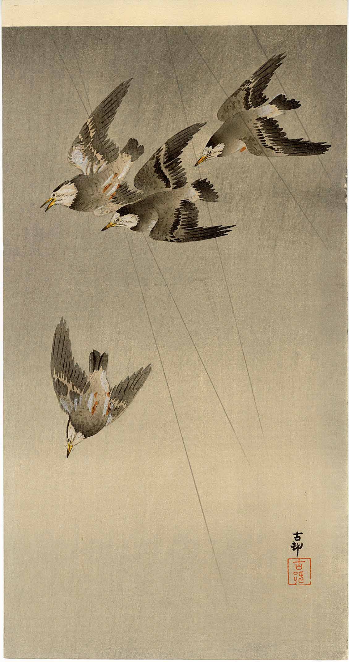 Koson Ohara - Starlings in Flight woodblock c1910/20 NR: Japanese Woodblock Print, c1900-20, Dikoku-ya Publisher (Tokyo 1818-1923). SIZE IN INCHES: 7.5 x 14.25 COMMENTS: Superbly executed "bokashi" shading, light "gauffrage" (embossing), woodgrain visible, 