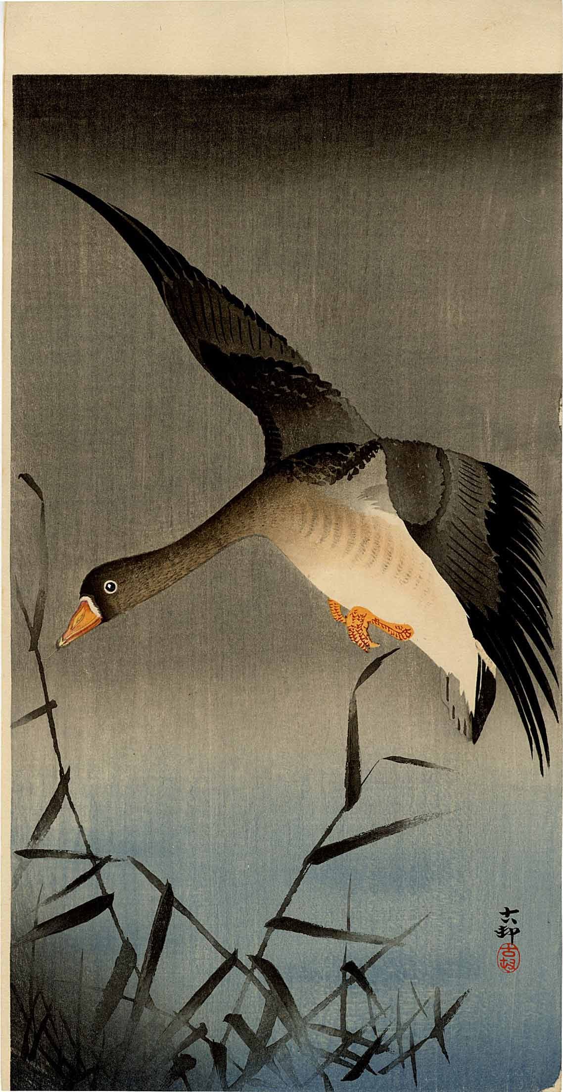 Koson Ohara - White-fronted Goose above Reeds 1910 RARE (1 of 2)