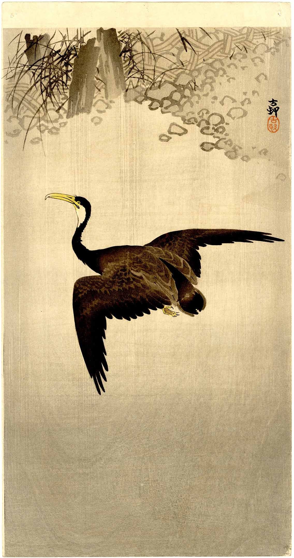 Koson Ohara: Cormorant in Flight Woodblock: Japanese Woodblock Print, 1910s, published by Dikkokuya SIZE IN INCHES: o-tanzuku, 7.5 x 14.25 inches COMMENTS: An early Koson design published in the 1910s by Daikokuya OHARA KOSON, (1877-1945) who a