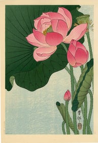 Ohara Koson: Flowering Lotus 1930s Woodblock NR