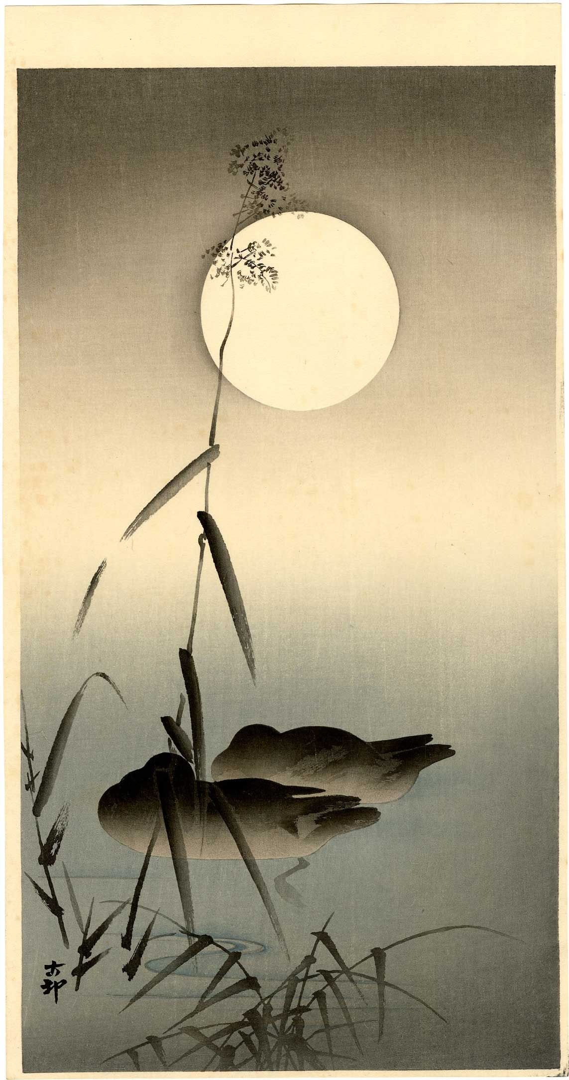 Ohara Koson: Sleeping Ducks Under Full Moon 1920s Woodblock NR: Japanese Woodblock Print, 1920s, published by Daikokuya SIZE IN INCHES: ohosoban, 7.5 x 14.5 inches COMMENTS: Rarely seen. PROVENANCE: From the Robert O. Muller estate OHARA KOSON (1877-1945), who als
