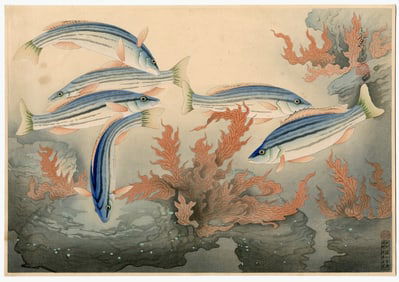 Ohno Bakufu -- Shima-isagi 1938 Woodblock