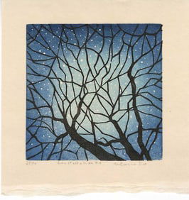 Mara Cozzolino: Constellation 1st Ed NR