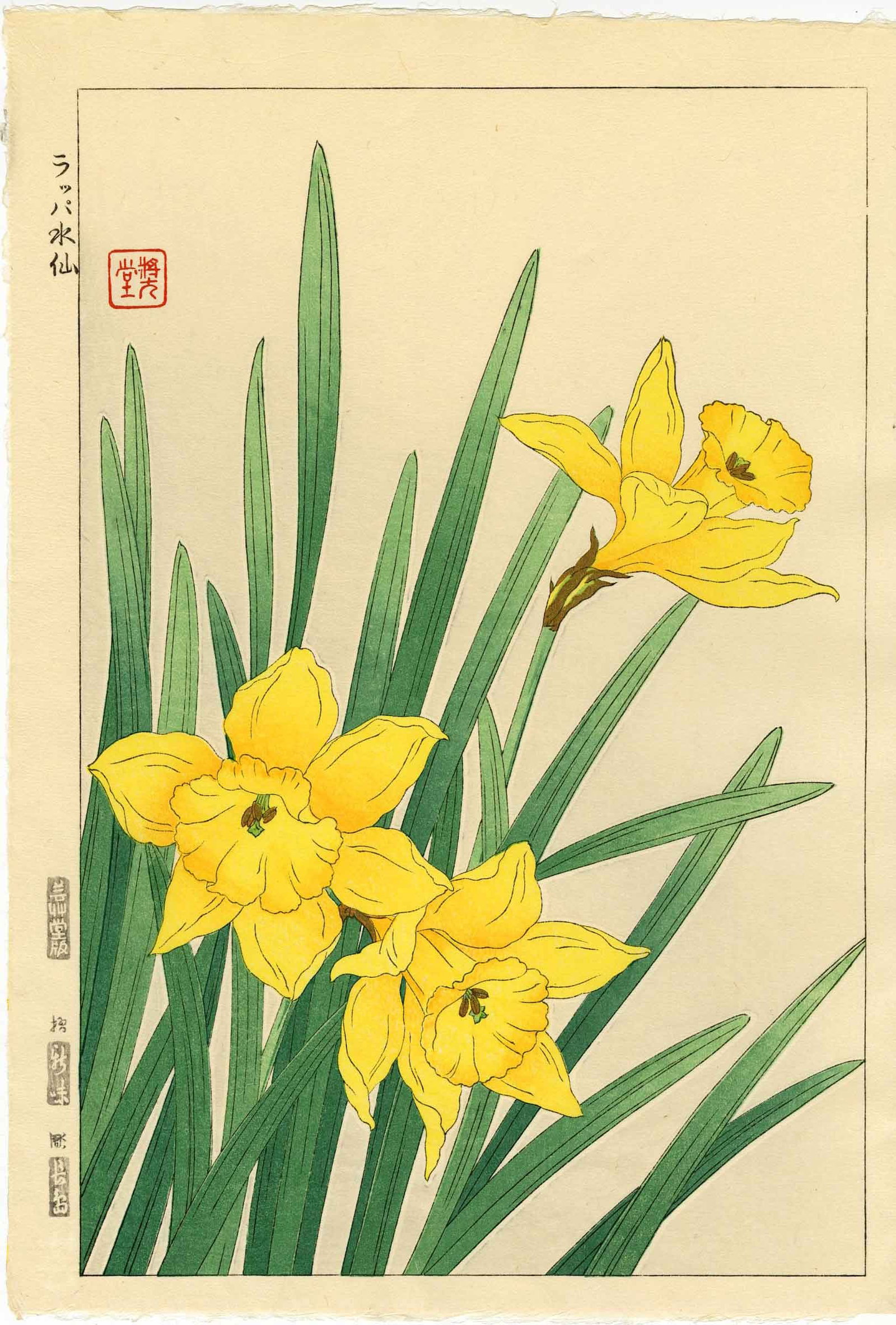 Kawarazaki Shodo: Daffodil 1954 Woodblock NR: Japanese Woodblock Print, 1954, this (ato-zuri) undated early edition published by Unsodo from the original wood blocks, on Unsodo watermarked paper SIZE IN INCHES: oban, 10.5 x 15.5 inches SHODO KAWA