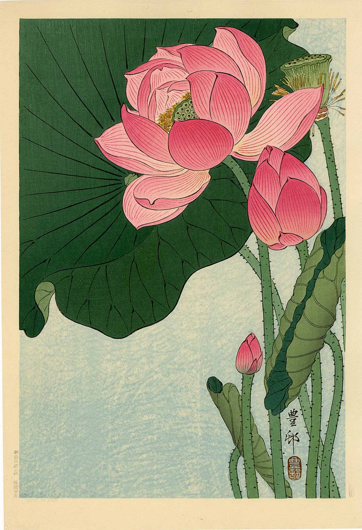 Ohara Koson: Flowering Lotus 1930s Woodblock NR: Japanese Woodblock Print, c. 1930s, published by Kawaguchi & Sakai with publishers C seal (lower left margin) used in the 1930s, signed and sealed Hoson SIZE IN INCHES: oban, 10 x 15 inches COMMENTS: