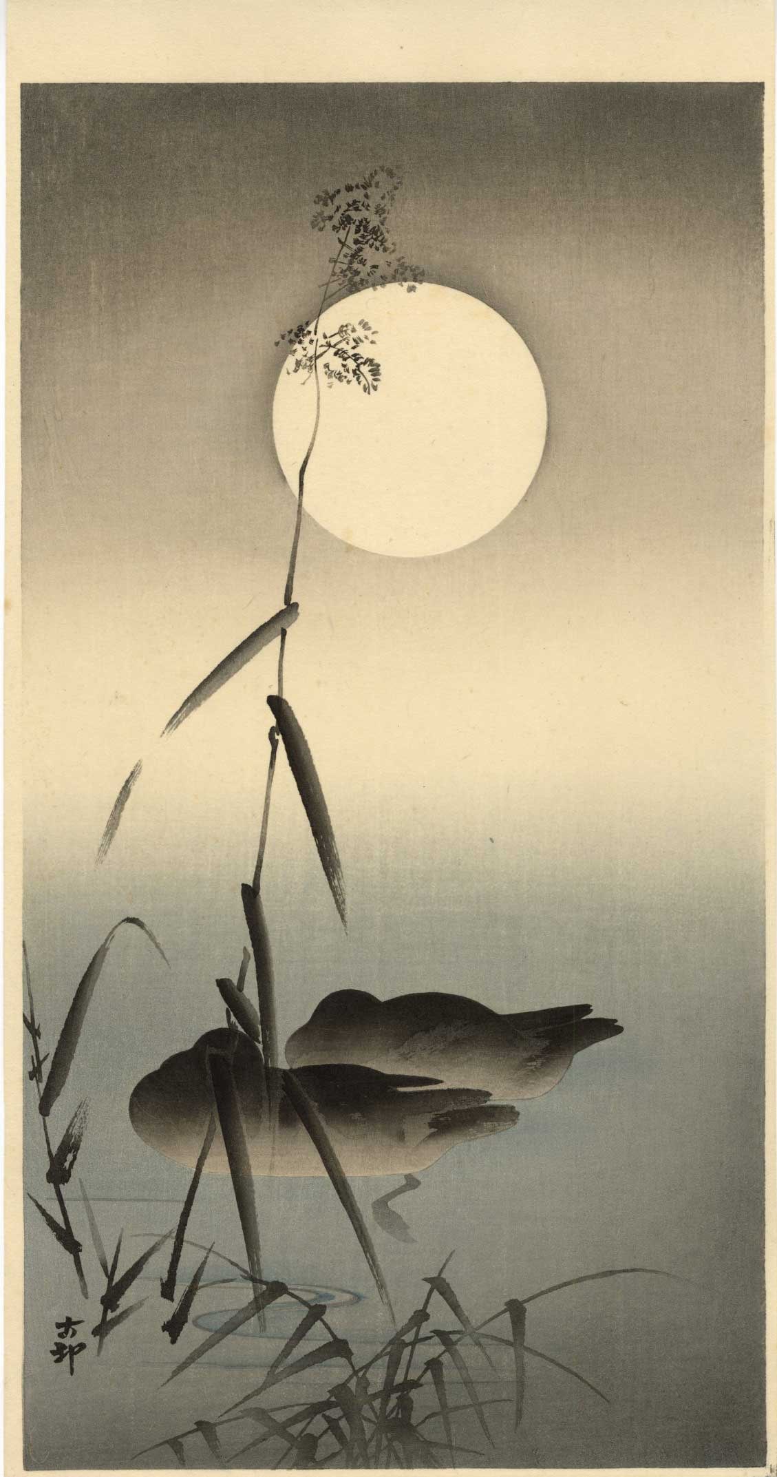 Ohara Koson - Sleeping Ducks Under Moon 1920s MULLER NR: Japanese Woodblock Print, 1910-20's, Daikoku-ya Publisher. SIZE IN INCHES: 7.5 x 14.5 COMMENTS: Superbly executed "bokashi" shading throughout, deep "gauffrage" to outline of moon, sharp key-lines, hi