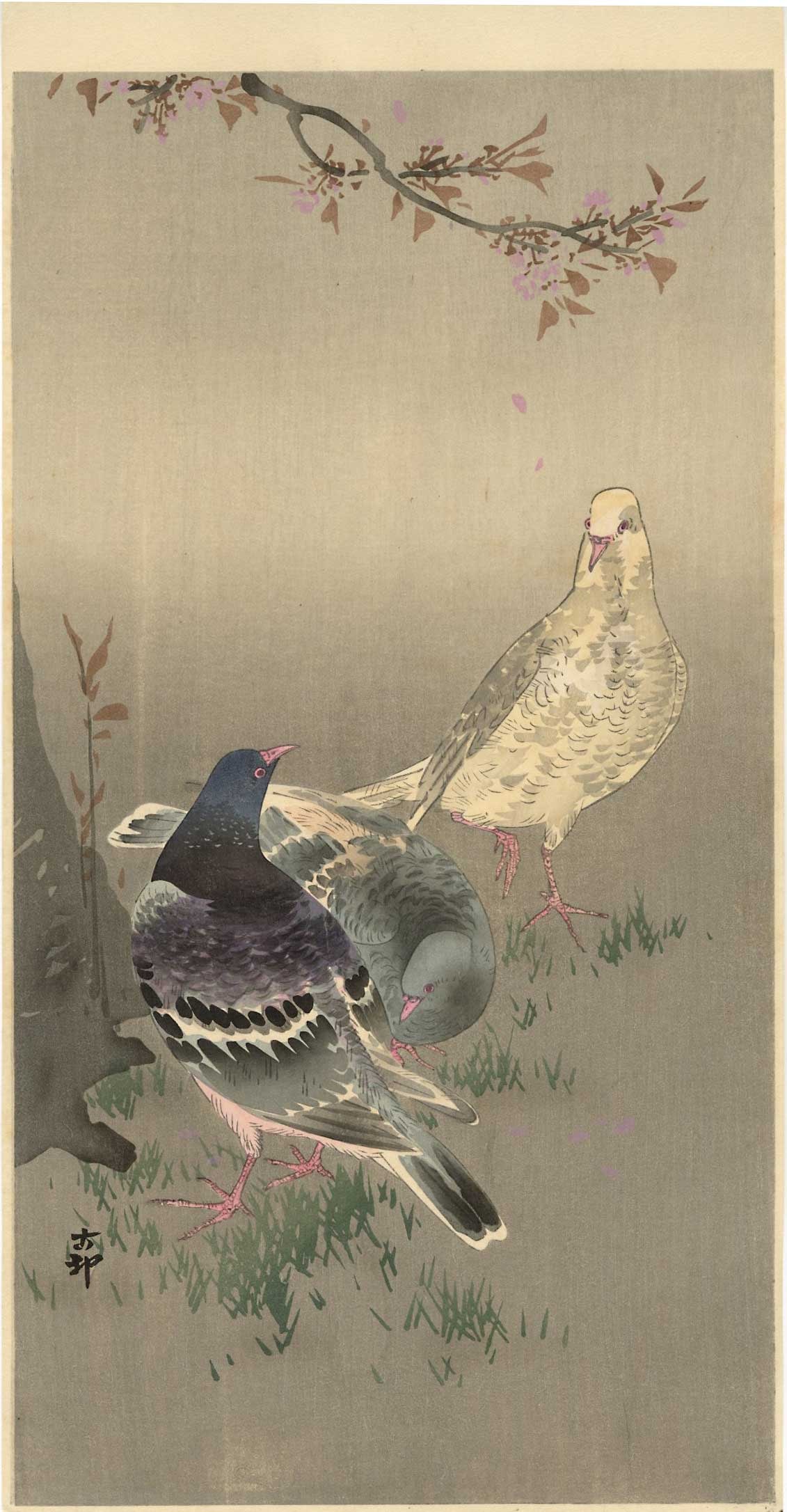 Ohara Koson - Three Pidgeons c1920's MULLER woodblock NR (1 of 2)