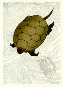 Hokusai Katsushika: Turtles Swimming Woodblock