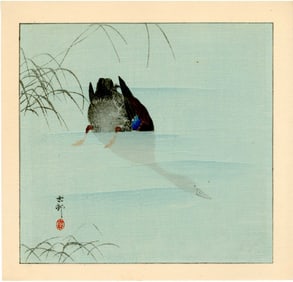 Koson Ohara: Diving Mallard Duck 1930s Woodblock NR