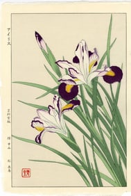 Kawarazaki Shodo: lris 1954 Woodblock NR