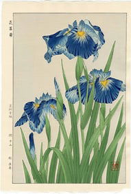 Kawarazaki Shodo: Blue Irises Woodblock