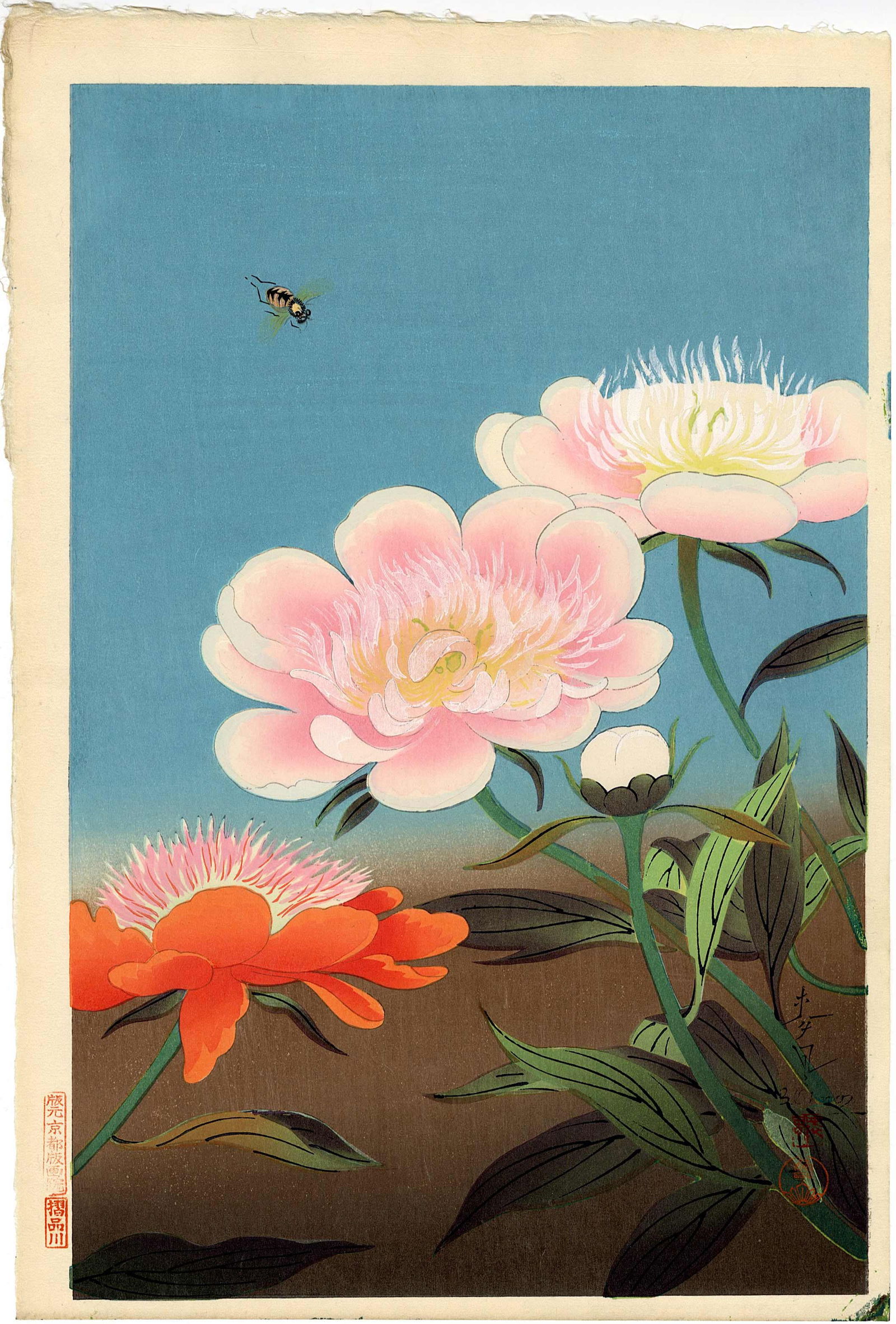Bakufu Ohno: Bee and Peony 1950s Woodblock: Japanese Woodblock Print, 1950, published by Kyoto Hanga-In SIZE IN INCHES: oban , 10 x 15.5 inches OHNO BAKUFU (1888-1976) was a Japanese painter and printmaker. He was born in Tokyo, Japan. Over his