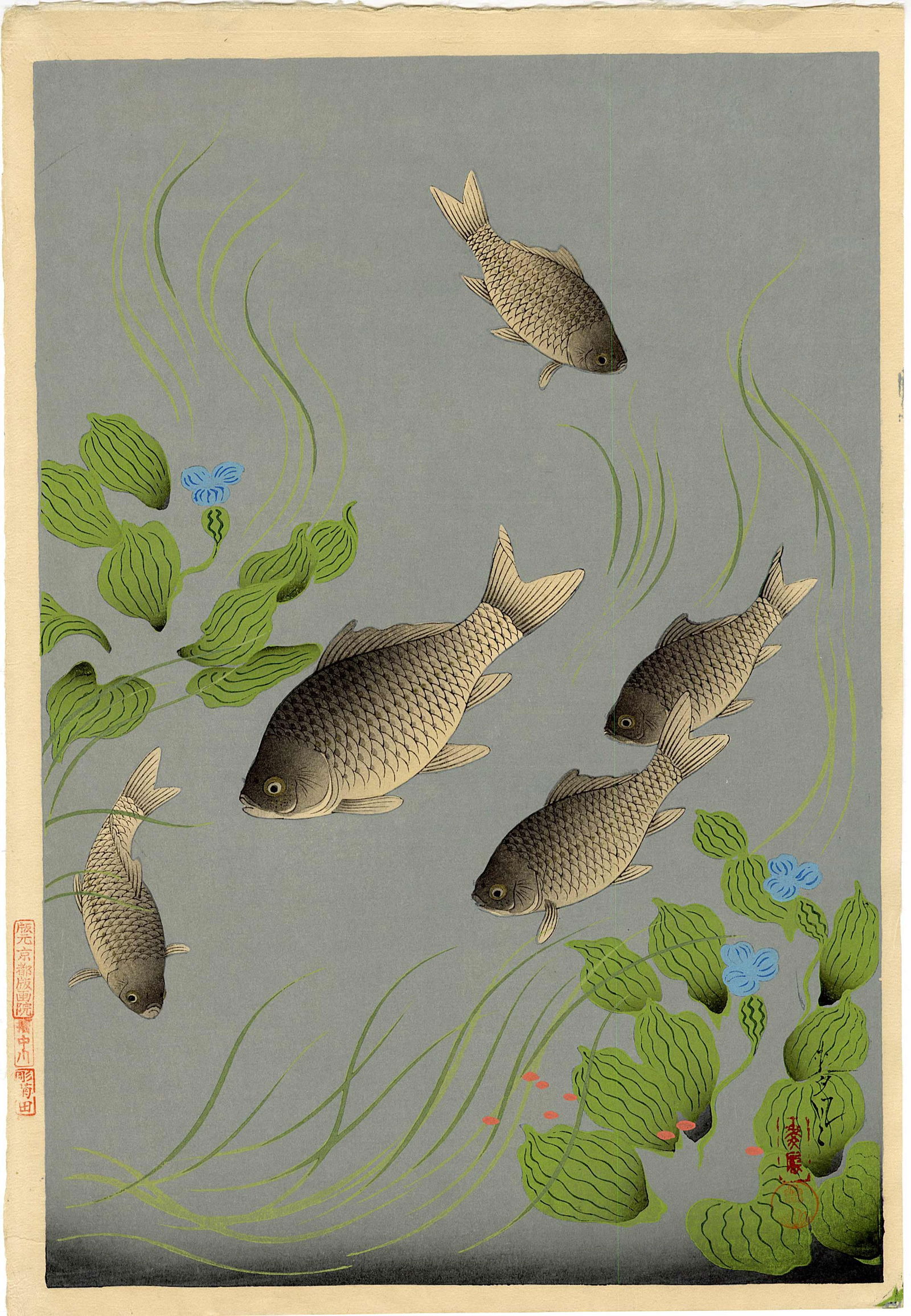 Bakufu Ohno: Crucian Carp 1950 Woodblock: Japanese Woodblock Print, 1950s published by Kyoto Hanga-in SIZE IN INCHES: 16 x 11 inches OHNO BAKUFU (1888-1976) was a Japanese painter and printmaker. He was born in Tokyo, Japan. Over his lifetime