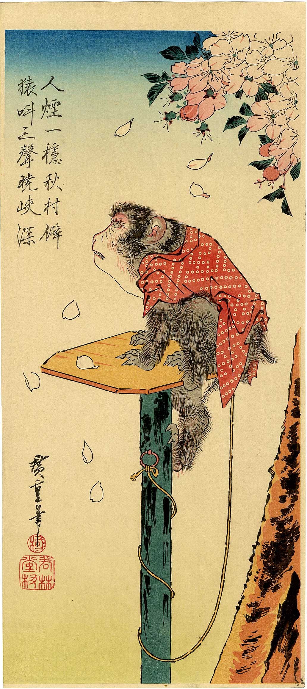 Hiroshige Ando: Pet Monkey and Cherry Blossoms Woodblock NR: Japanese Woodblock Print, 1830, publisher unknown, this is a Showa era printing from recarved woodblocks SIZE IN INCHES: o-tanzaku 7 x 15.5 inches COMMENTS: A rather angry looking monkey is tied to a